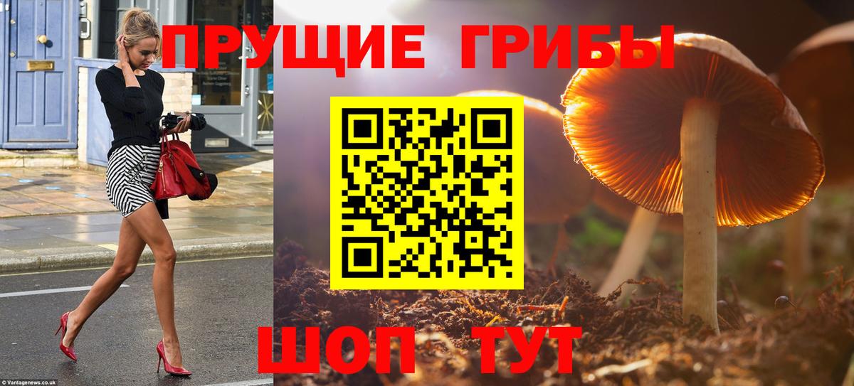 Галлюциногенные грибы MAGIC MUSHROOMS  Вход с VPN  Корсаков 